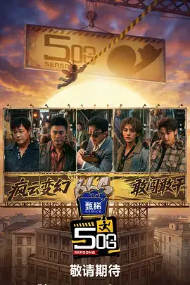 综艺《中国诗词大会》海报